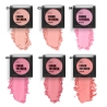 Cheek to Cheek blusher